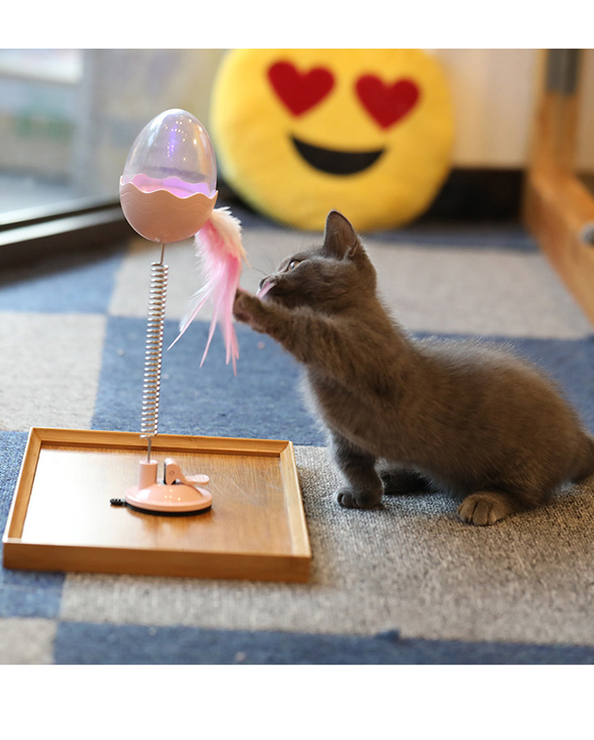 [무료배송] 아서아리 고양이 깃털 오뚝이 간식통 장난감 15번째
