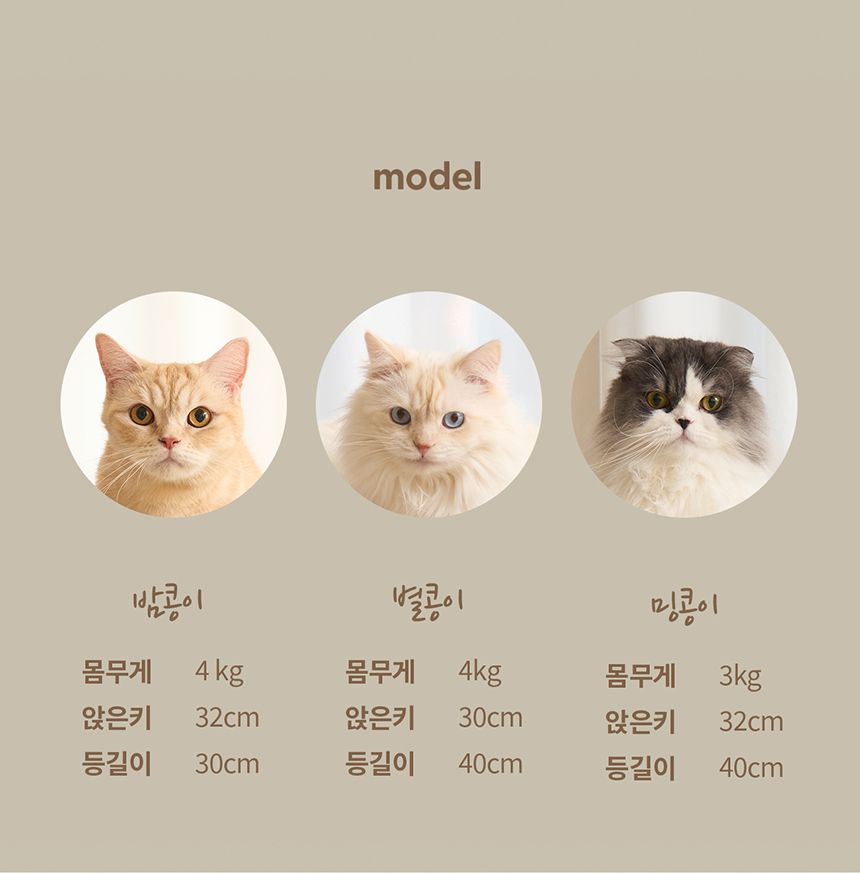 [특가할인]두잇 티라미수보드 2단 스크래쳐 16번째