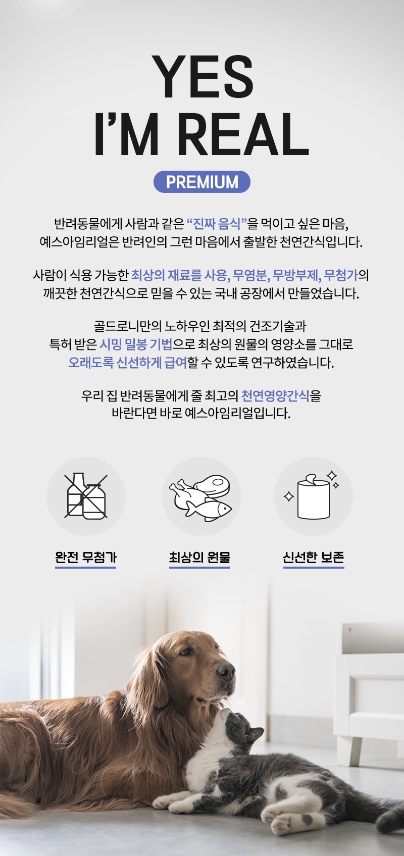[무료배송] [추가증정] 골드로니 예스아임리얼 안녕 눈물 한우간 트릿 110g + 순살스틱 2p 증정 2번째