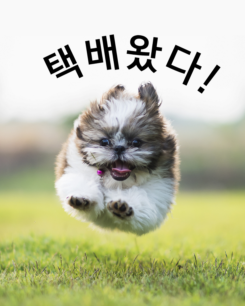 [NEW신상][무료배송] 폴키퍼 슬개골탈구 예방 미끄럼 방지제 젤타입 300g 4번째