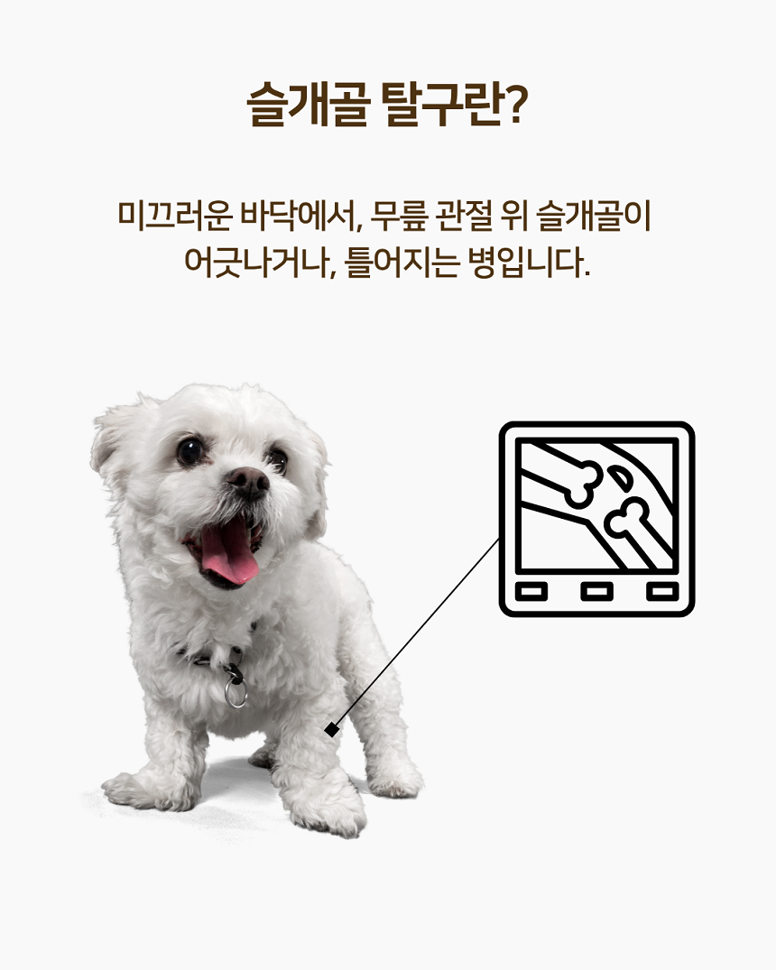 [NEW신상][무료배송] 폴키퍼 슬개골탈구 예방 미끄럼 방지제 젤타입 300g 6번째