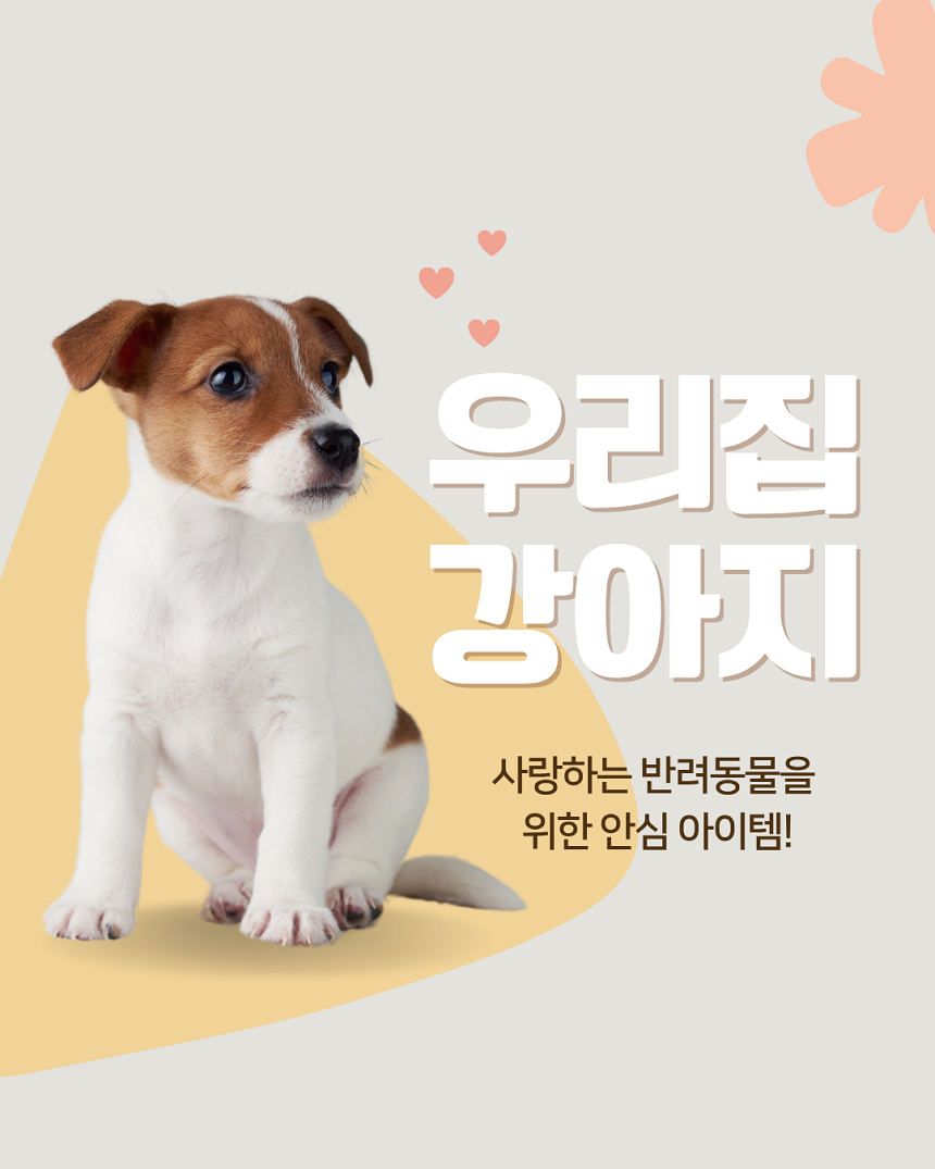 [NEW신상][무료배송] 폴키퍼 슬개골탈구 예방 미끄럼 방지제 젤타입 300g 5번째