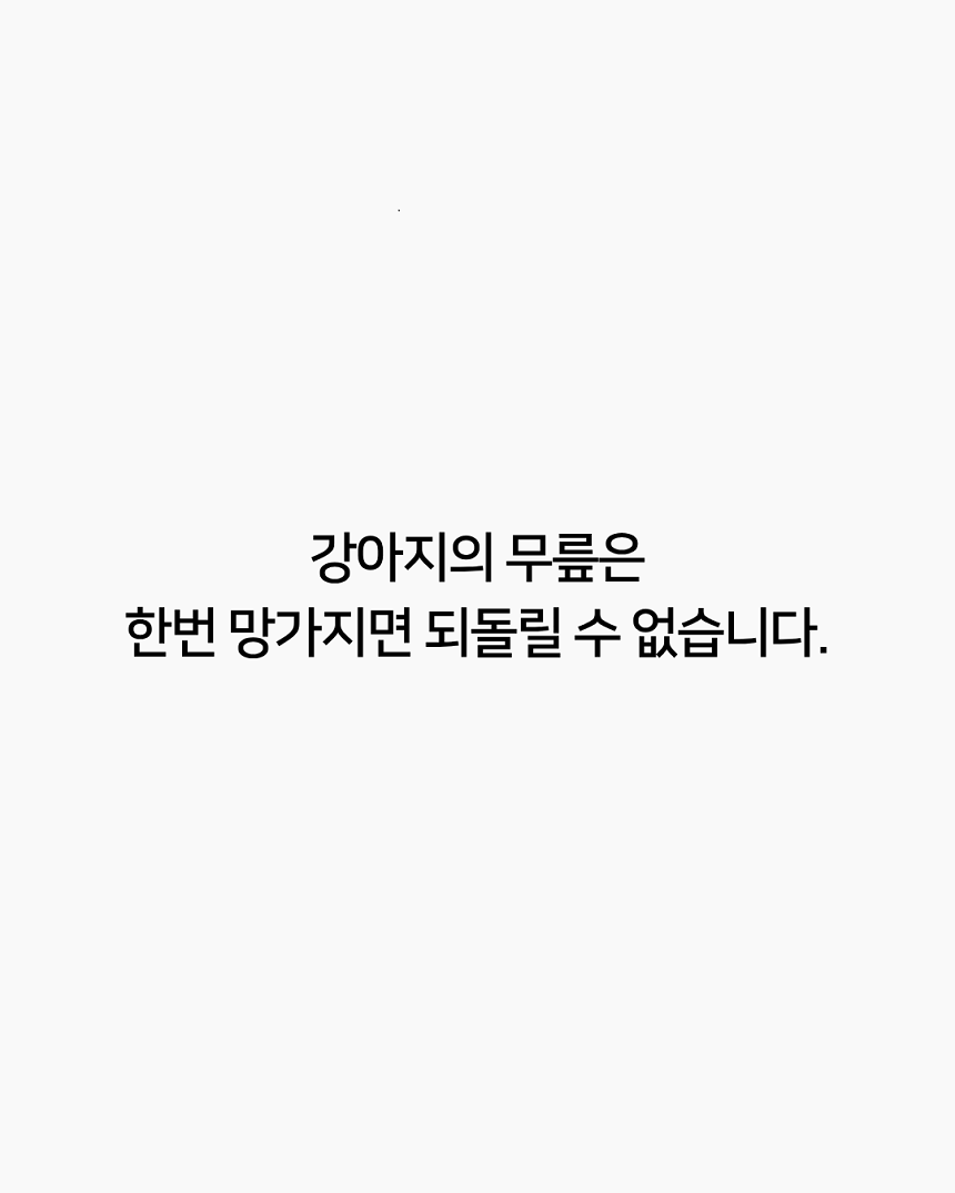 [NEW신상][무료배송] 폴키퍼 슬개골탈구 예방 미끄럼 방지제 젤타입 300g 8번째