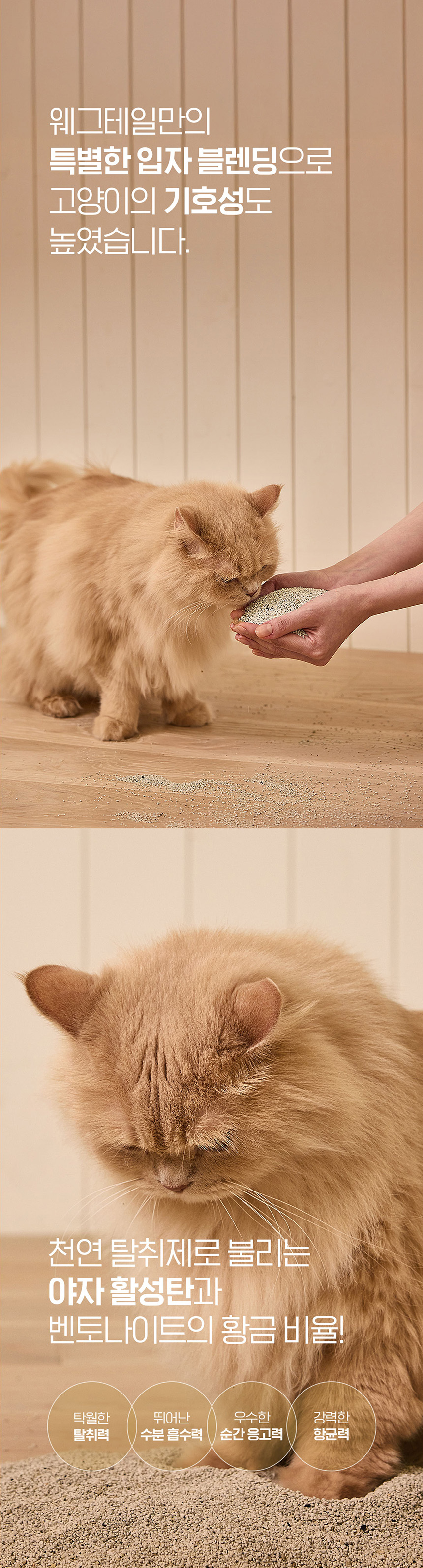 [무료배송] 웨그테일 누다 프리미엄 벤토나이트 고양이 모래 6kg 반려묘 정직한 모래 무향 12번째