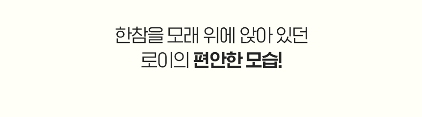 [무료배송] 웨그테일 누다 프리미엄 벤토나이트 고양이 모래 6kg 반려묘 정직한 모래 무향 7번째