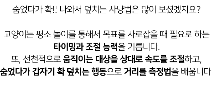 [심쿵펫페어]집에가야돼 고양이 누빔 숨숨집 10번째
