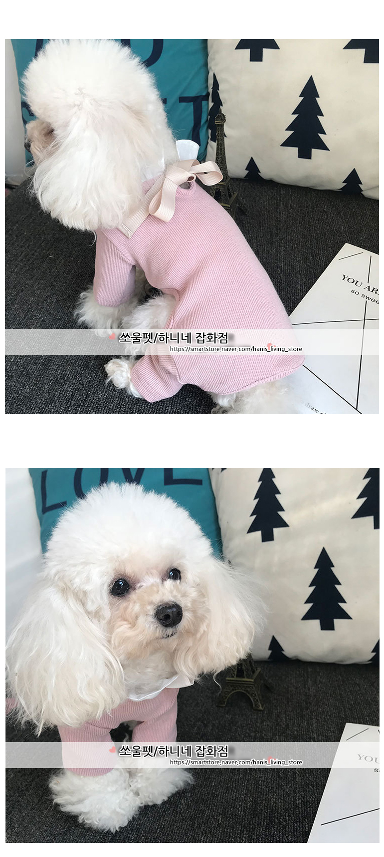 [무료배송] 쏘울펫 리본 스웨터 분홍/하늘 S-3XL 4번째