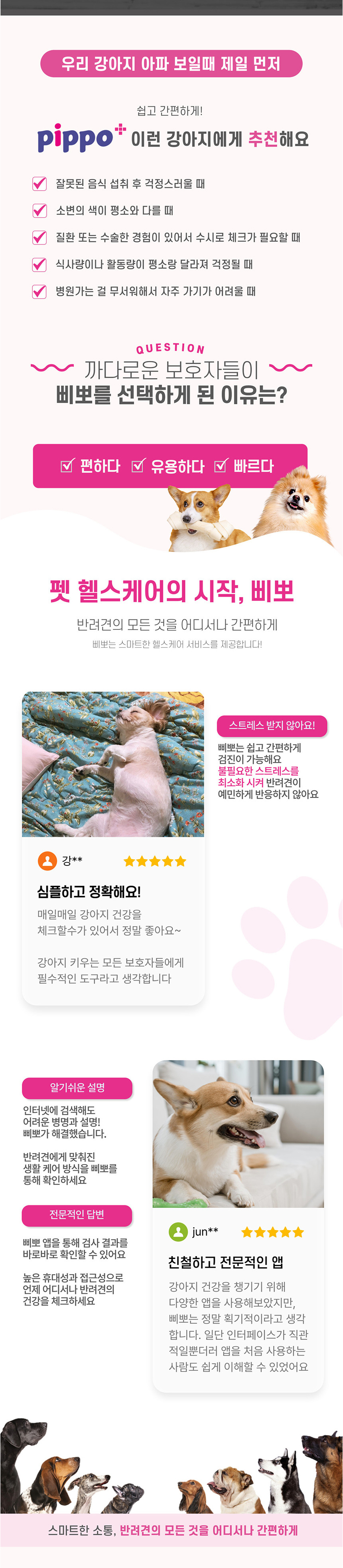 [NEW신상][무료배송] 개과천선 삐뽀(pippo) 소변검사 키트 4회분 2번째