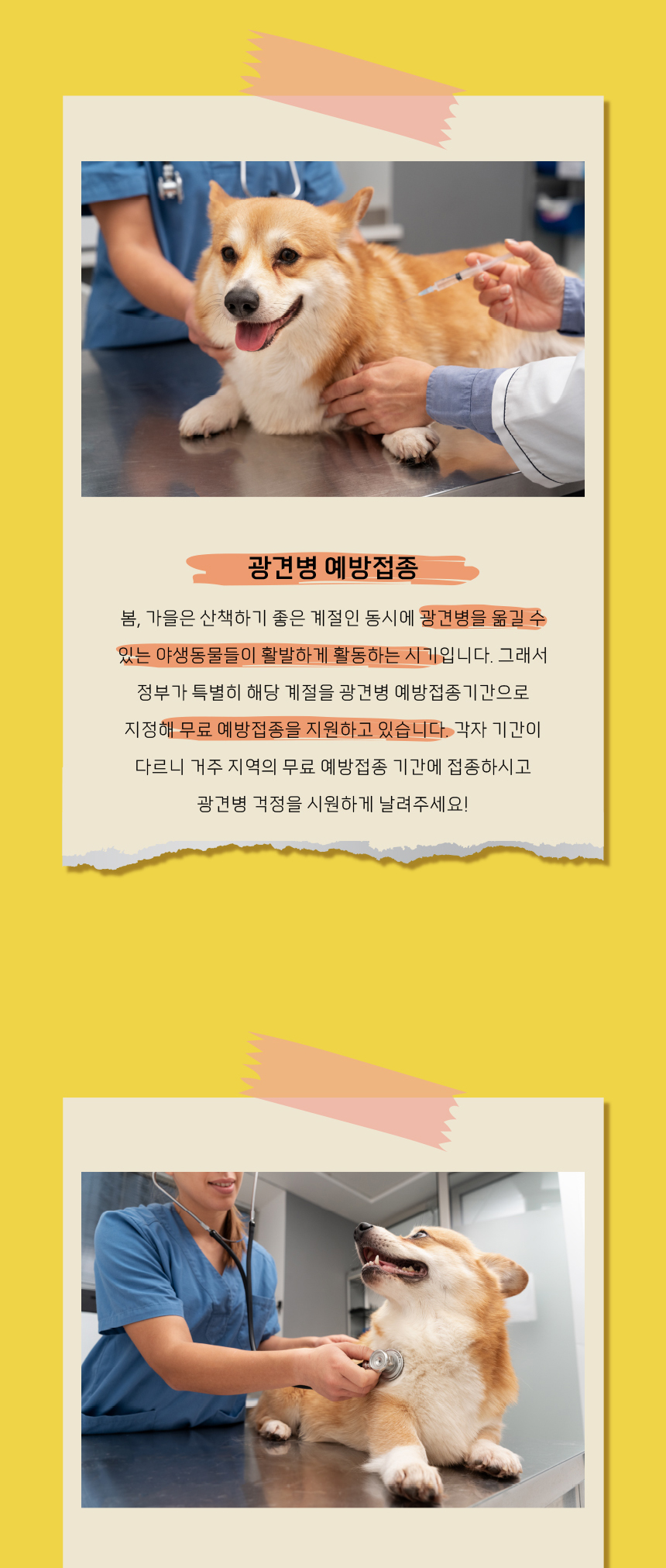 [무료배송] 애구애구 곰돌이 리본 홈웨어 S-2XL 7번째