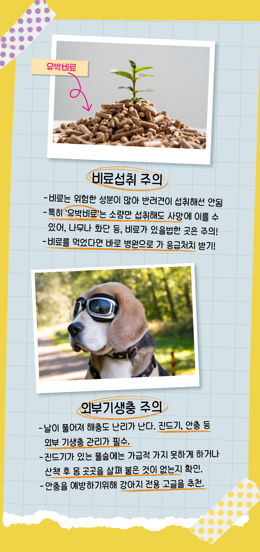 [무료배송] 애구애구 곰돌이 리본 홈웨어 S-2XL 10번째