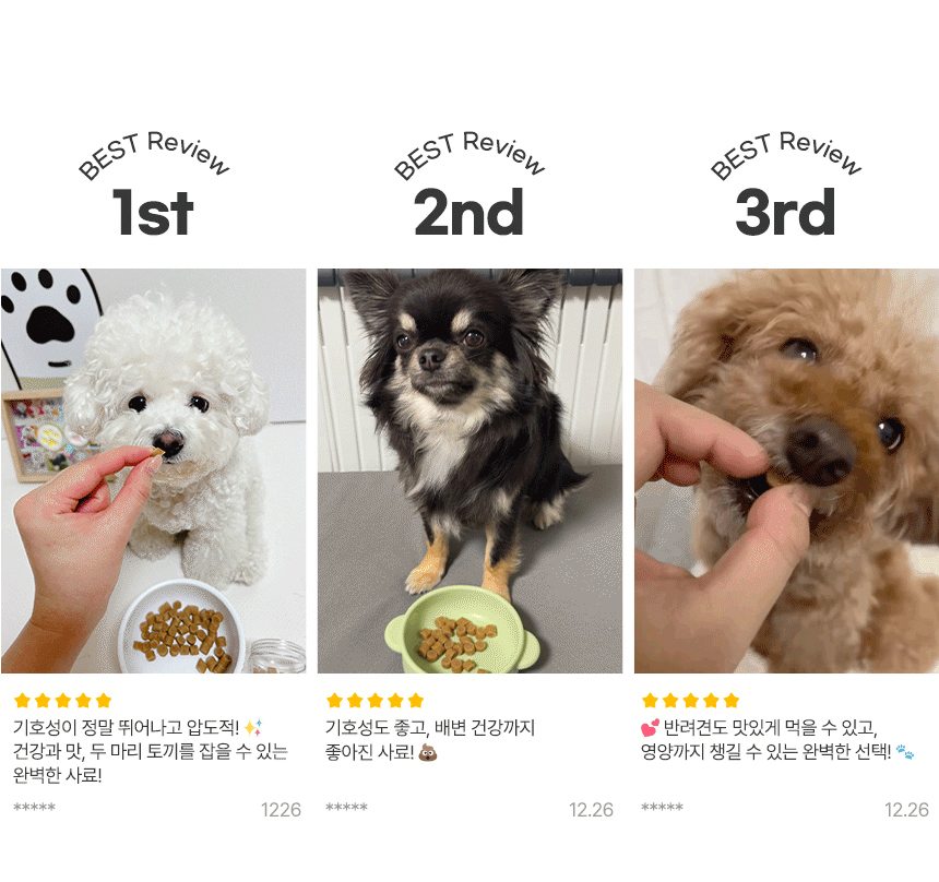 [무료배송] 마이펫닥터 독 리얼 랍스터 밀 수제사료 1kg 1번째