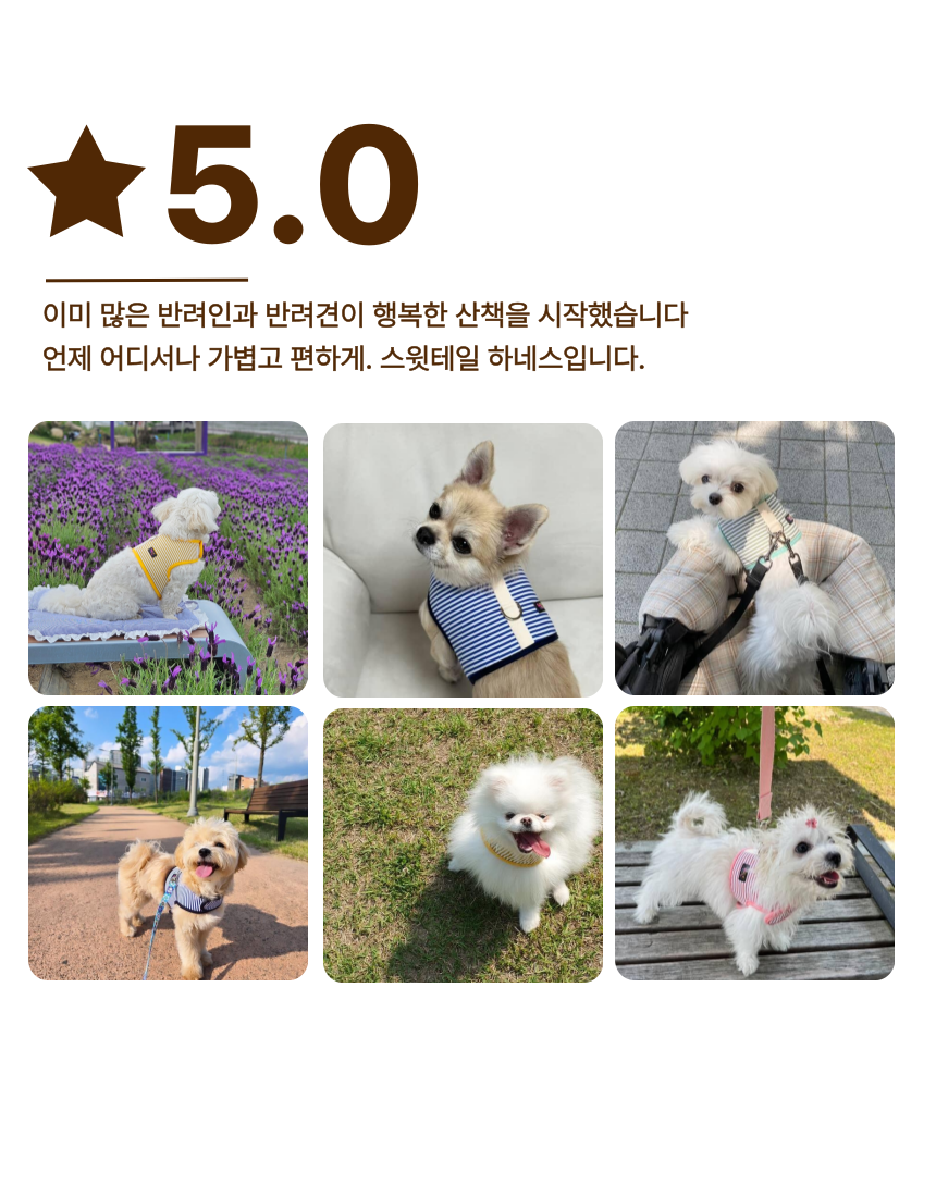 [NEW신상][무료배송] 스윗테일 핸드메이드 스트라이프 하네스 M 10번째