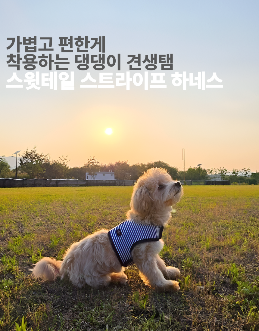 [NEW신상][무료배송] 스윗테일 핸드메이드 스트라이프 하네스 M 9번째