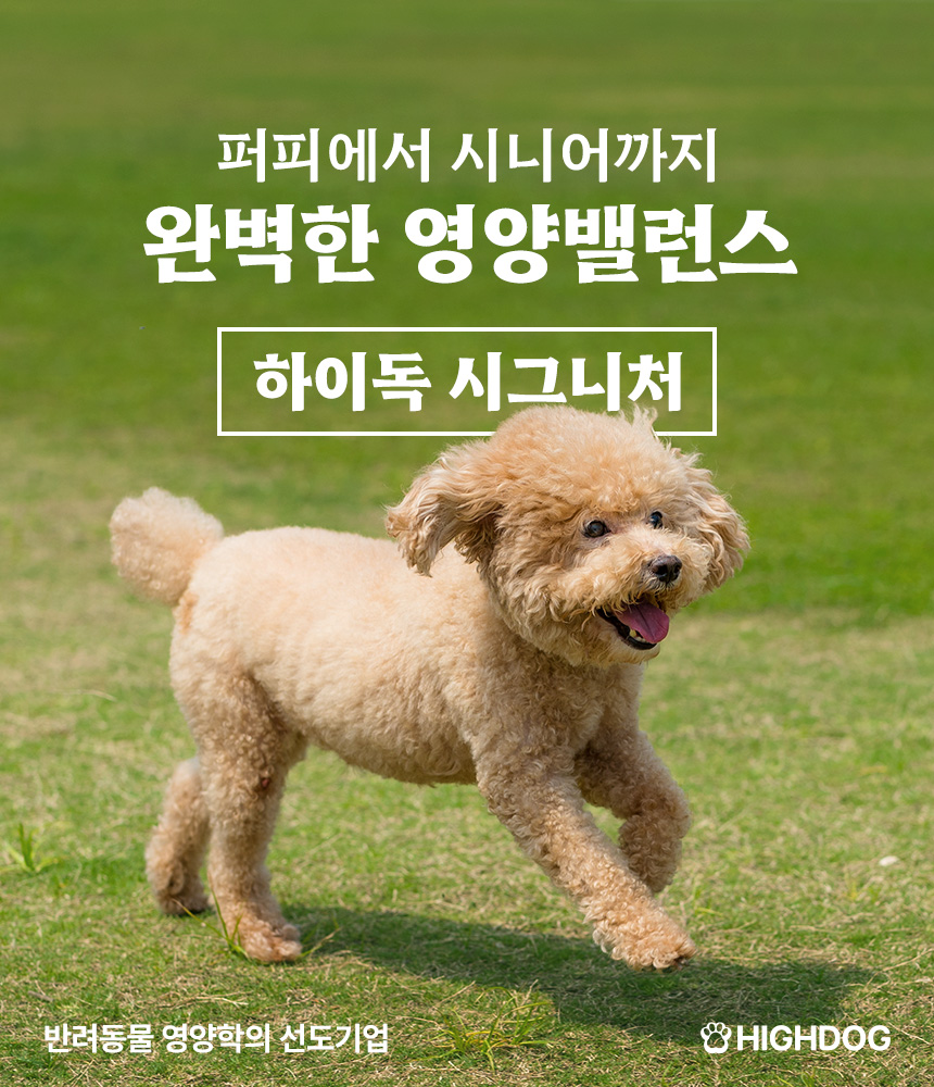 [무료배송] 하이독 시그니처 양고기 화식 100g*20팩 1번째