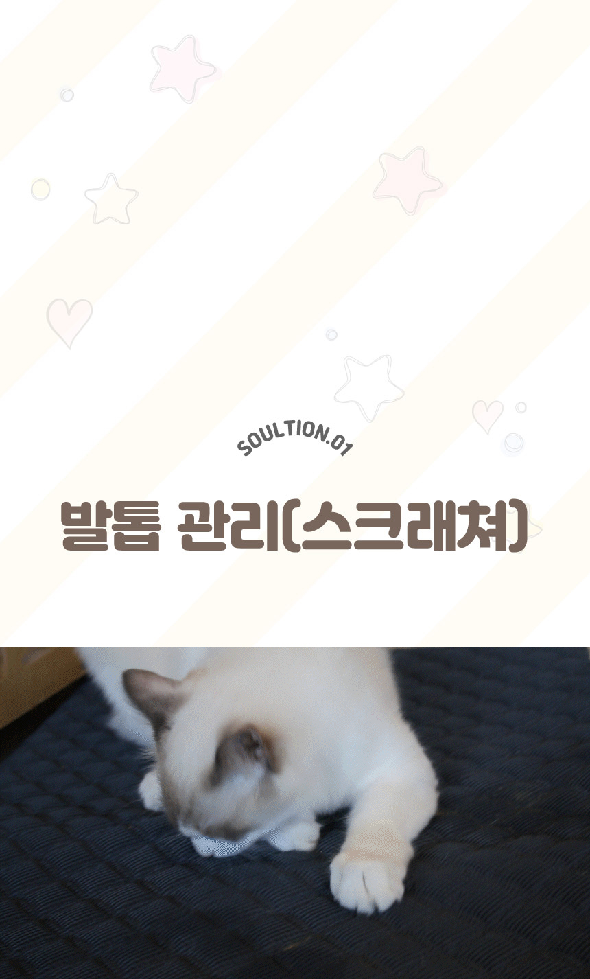 [무료배송] 초코펫하우스 캣 스크래쳐 냥이 행복 매트리스 2.0 9번째