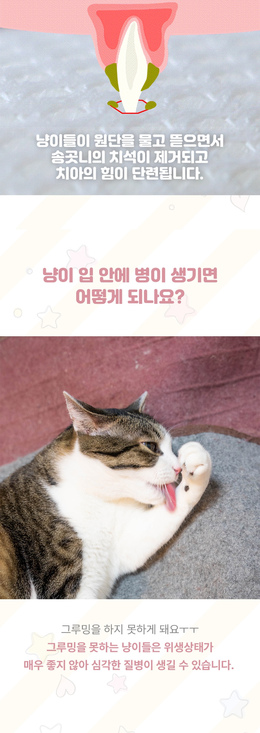 [무료배송] 초코펫하우스 캣 스크래쳐 냥이 행복 매트리스 2.0 14번째
