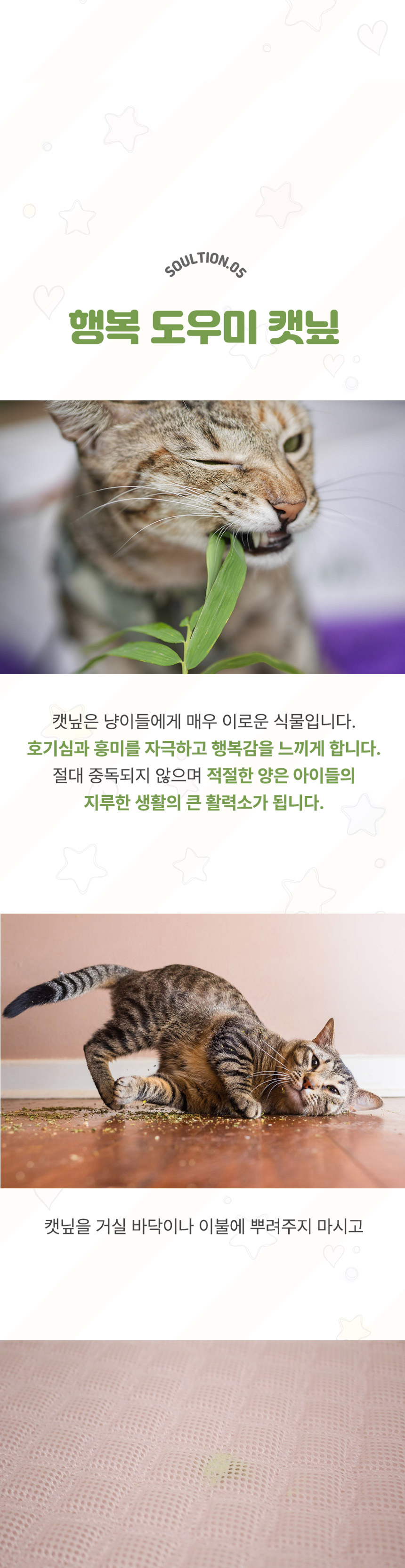 [무료배송] 초코펫하우스 캣 스크래쳐 냥이 행복 매트리스 2.0 20번째