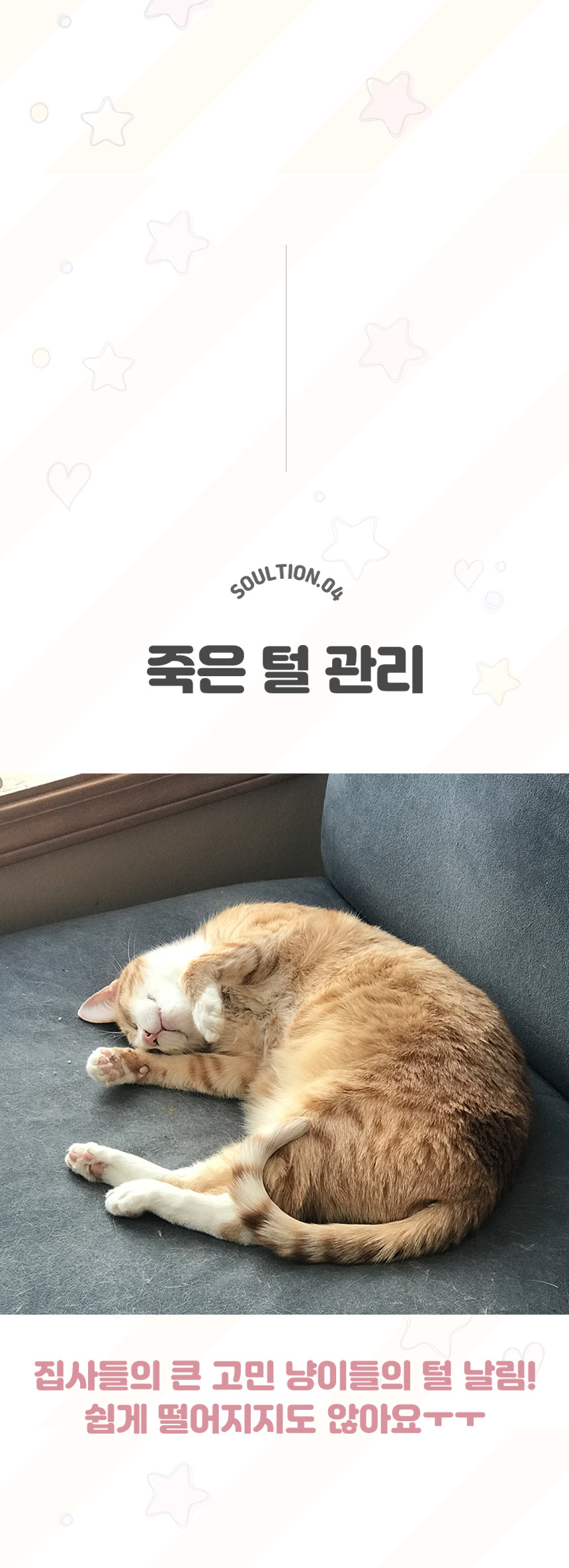 [무료배송] 초코펫하우스 캣 스크래쳐 냥이 행복 매트리스 2.0 18번째