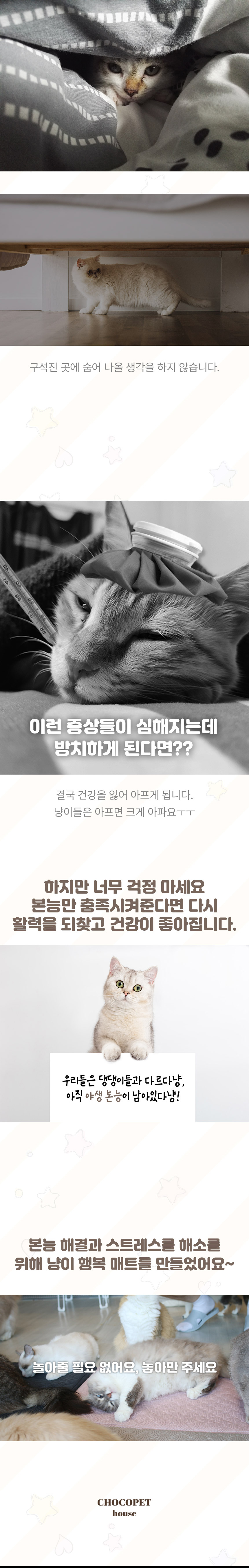 [무료배송] 초코펫하우스 캣 스크래쳐 냥이 행복 매트리스 2.0 5번째