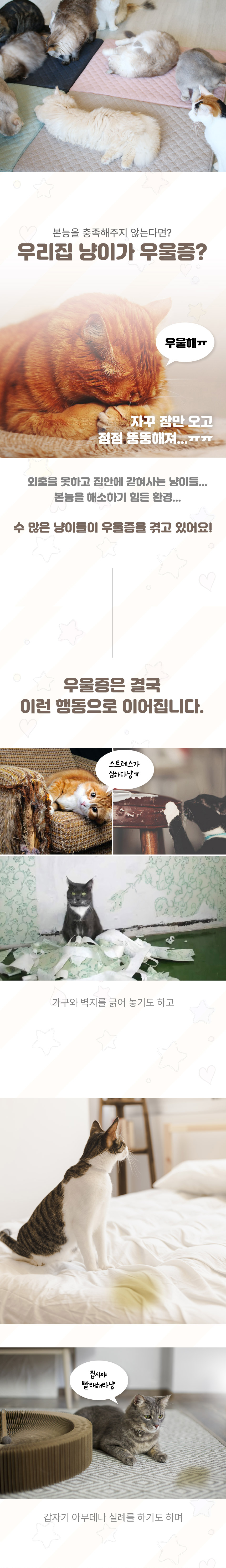 [무료배송] 초코펫하우스 캣 스크래쳐 냥이 행복 매트리스 2.0 4번째