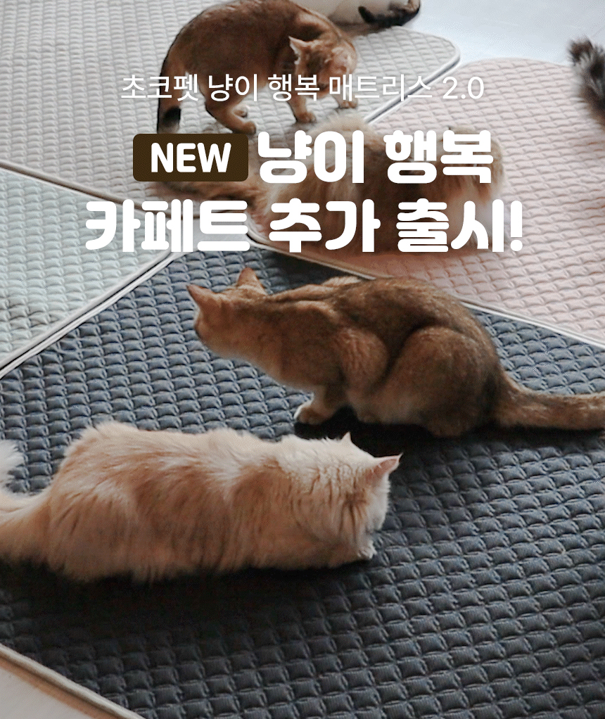[무료배송] 초코펫하우스 캣 스크래쳐 냥이 행복 매트리스 2.0 6번째