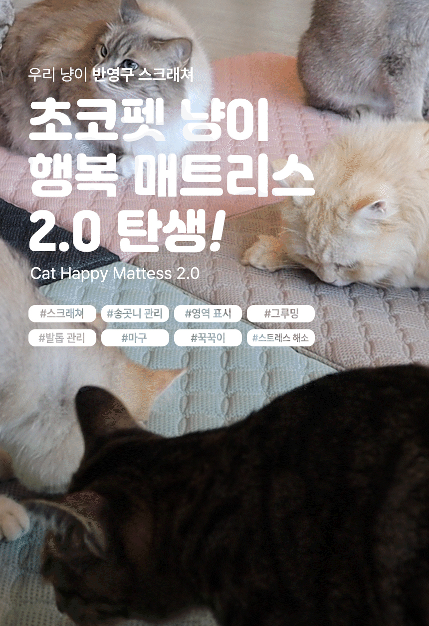 [무료배송] 초코펫하우스 캣 스크래쳐 냥이 행복 매트리스 2.0 2번째
