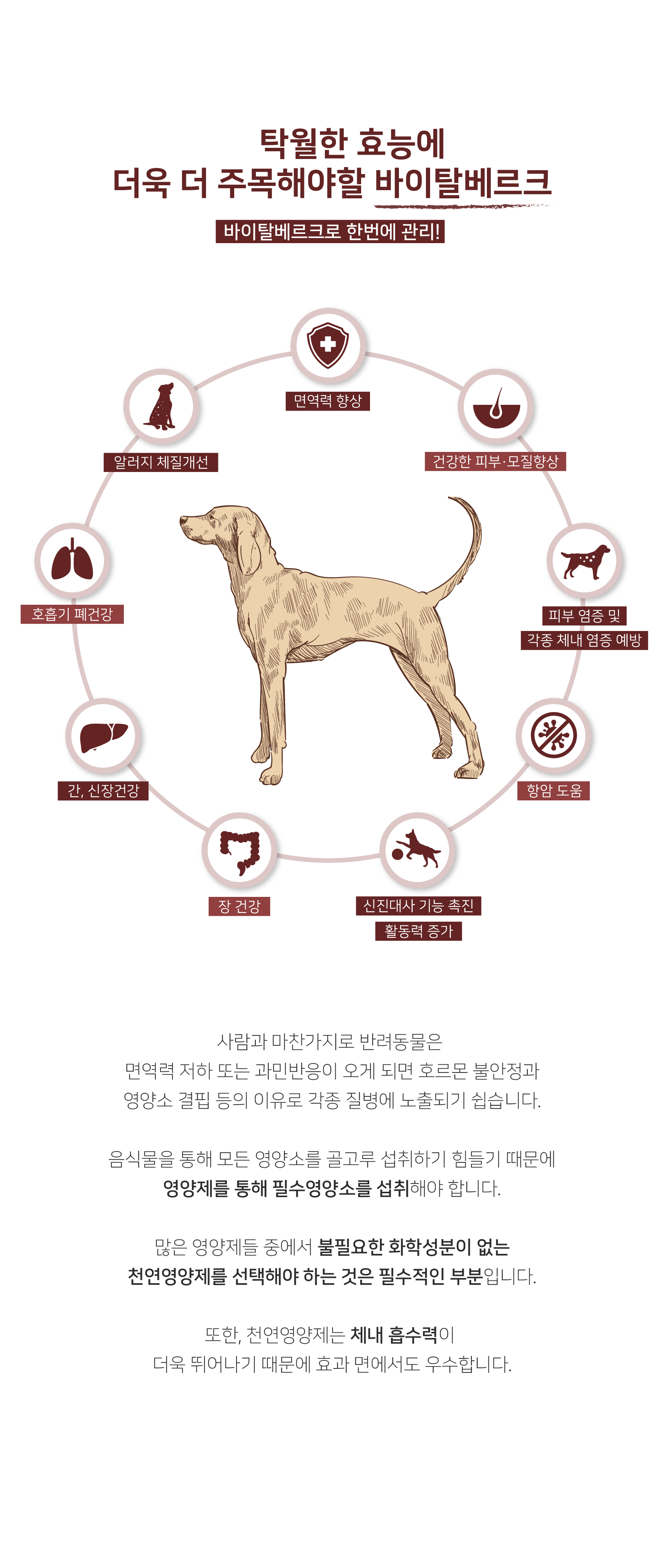 카이쿠라 바이탈베르크 100g 8번째