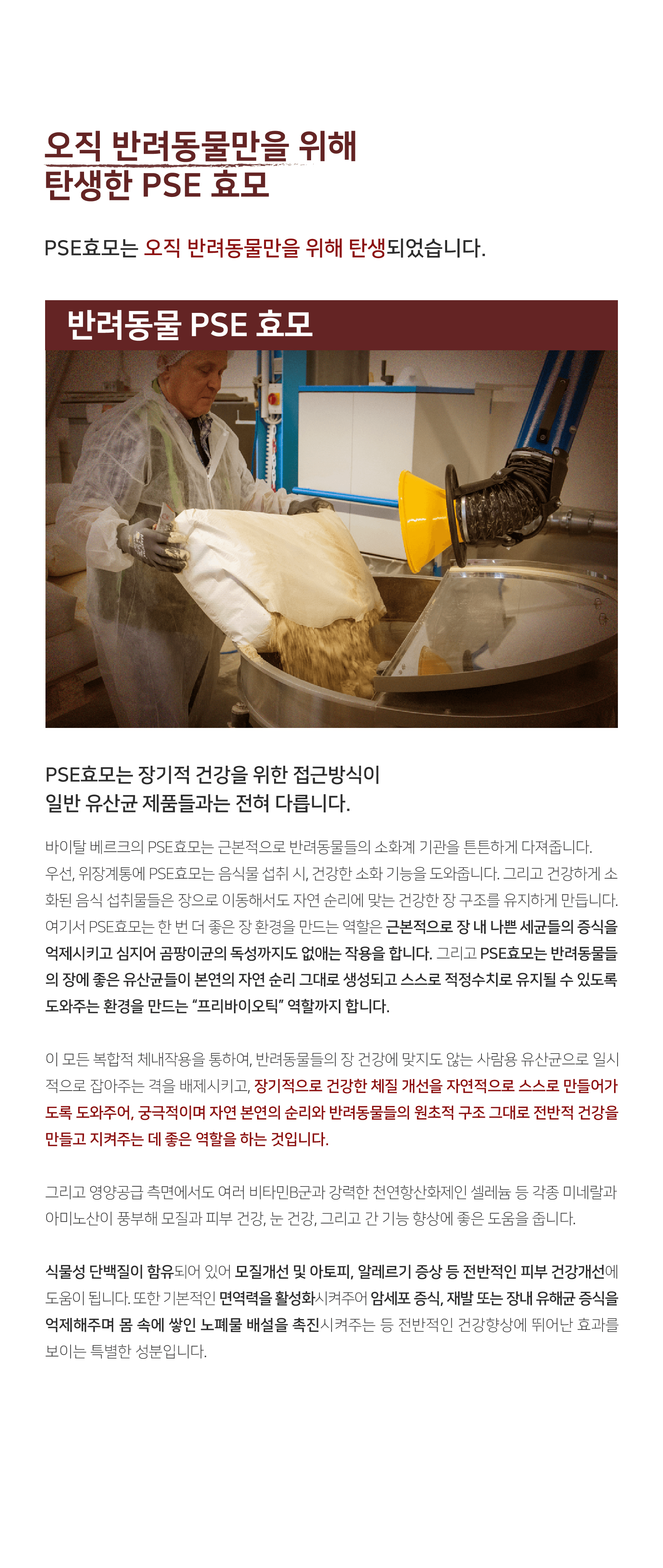 카이쿠라 바이탈베르크 100g 6번째