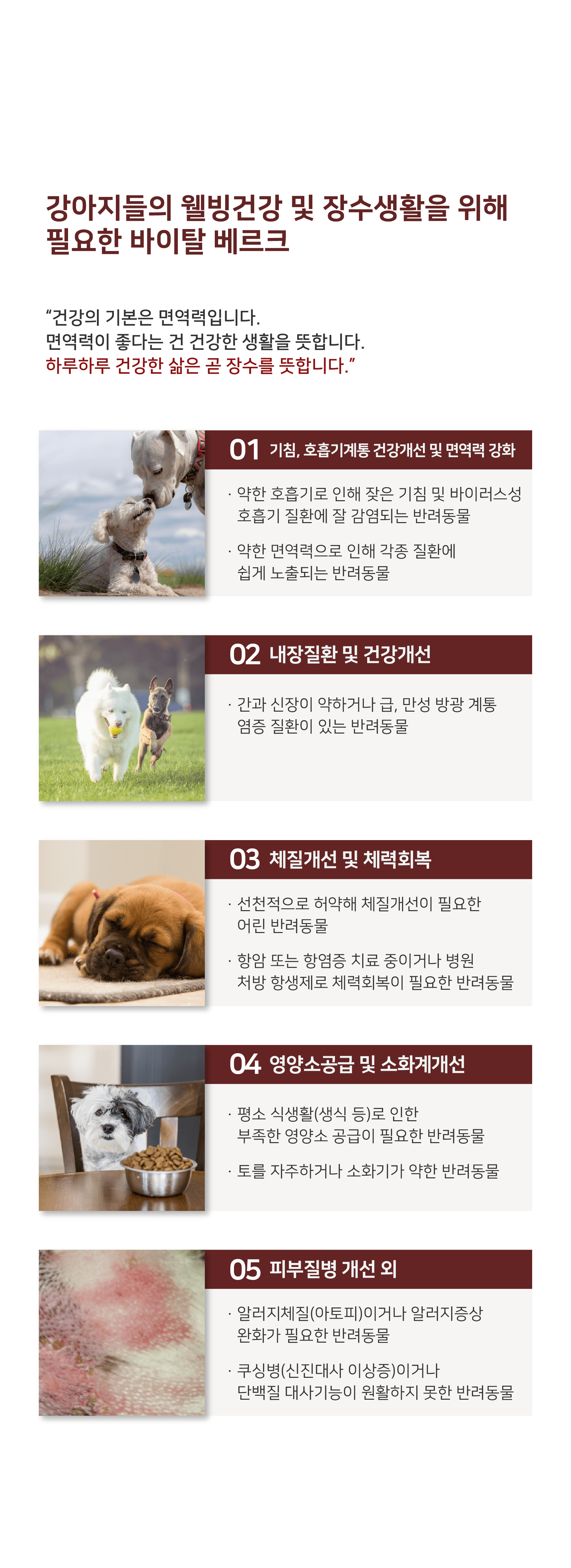 카이쿠라 바이탈베르크 100g 5번째