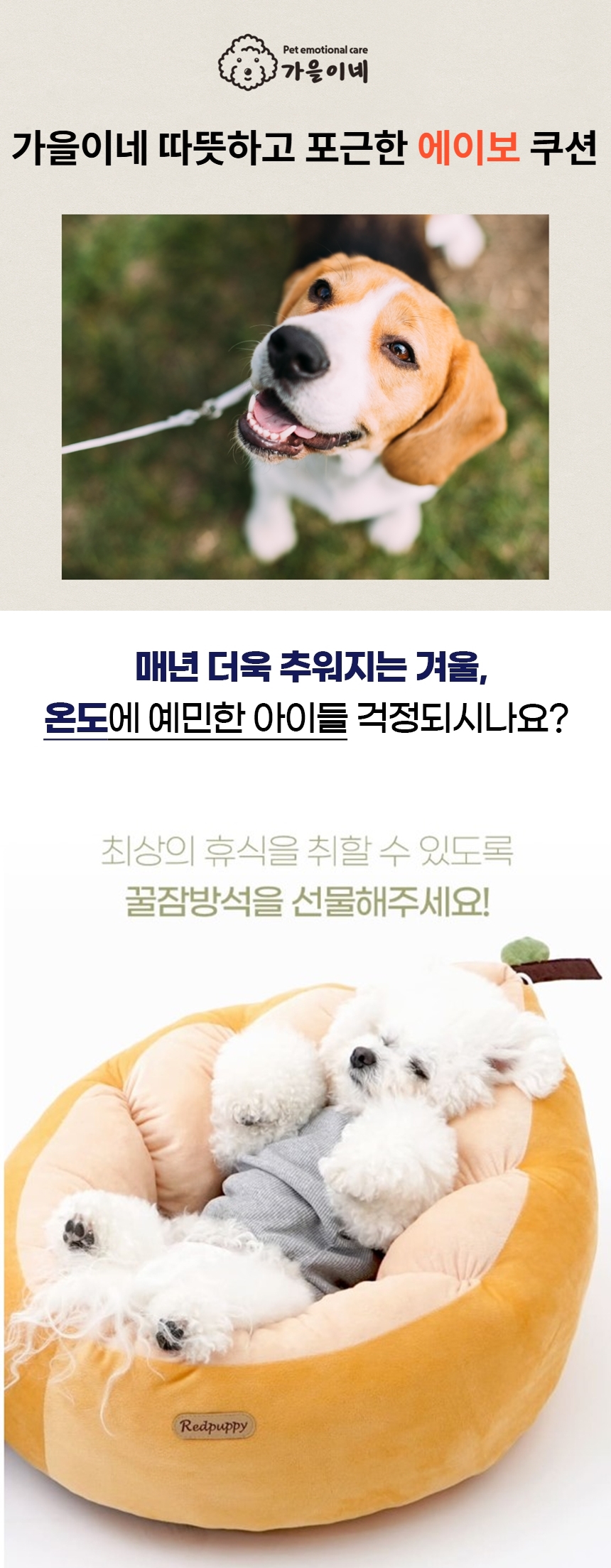 [NEW신상][무료배송] 가을이네 독 초극세사 도넛 쿠션 방석 베이지/그린 M-L 1번째