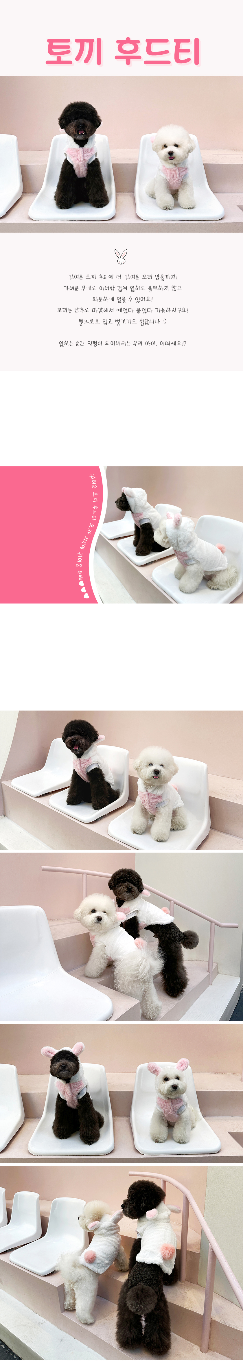 [무료배송] 오드펫 토끼 후드티 핑크/아이보리 S-XL 1번째