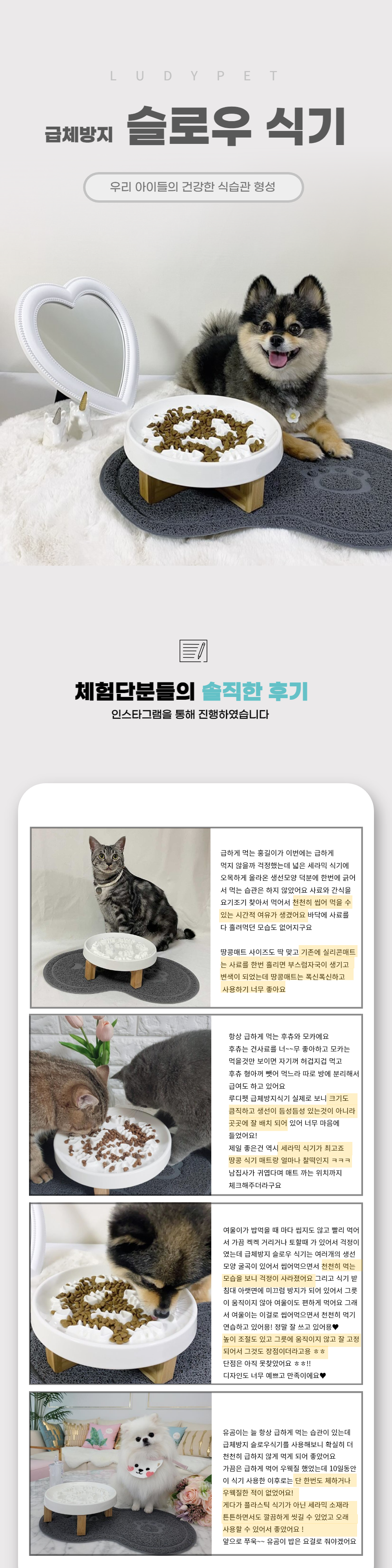 [공동구매][무료배송] 루디펫 세라믹 급체방지 슬로우식기 세트 화이트/핑크/옐로우/블루 3번째