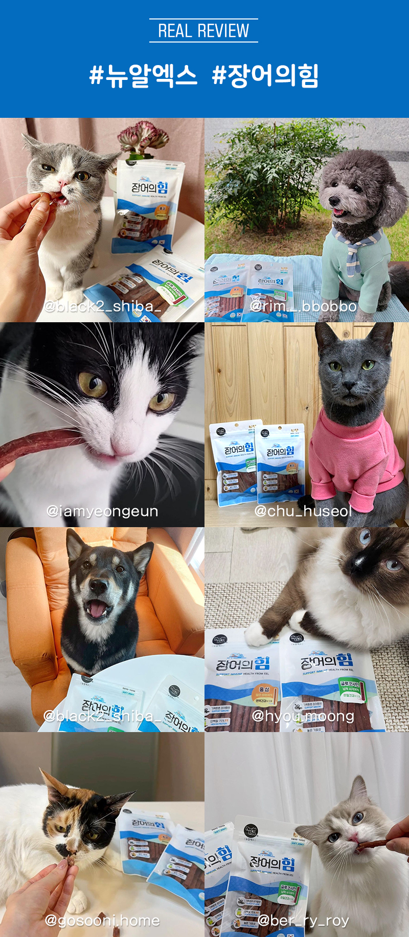 [NEW신상][무료배송] 뉴알엑스 장어의힘 글루코사민 져키 100g 4번째