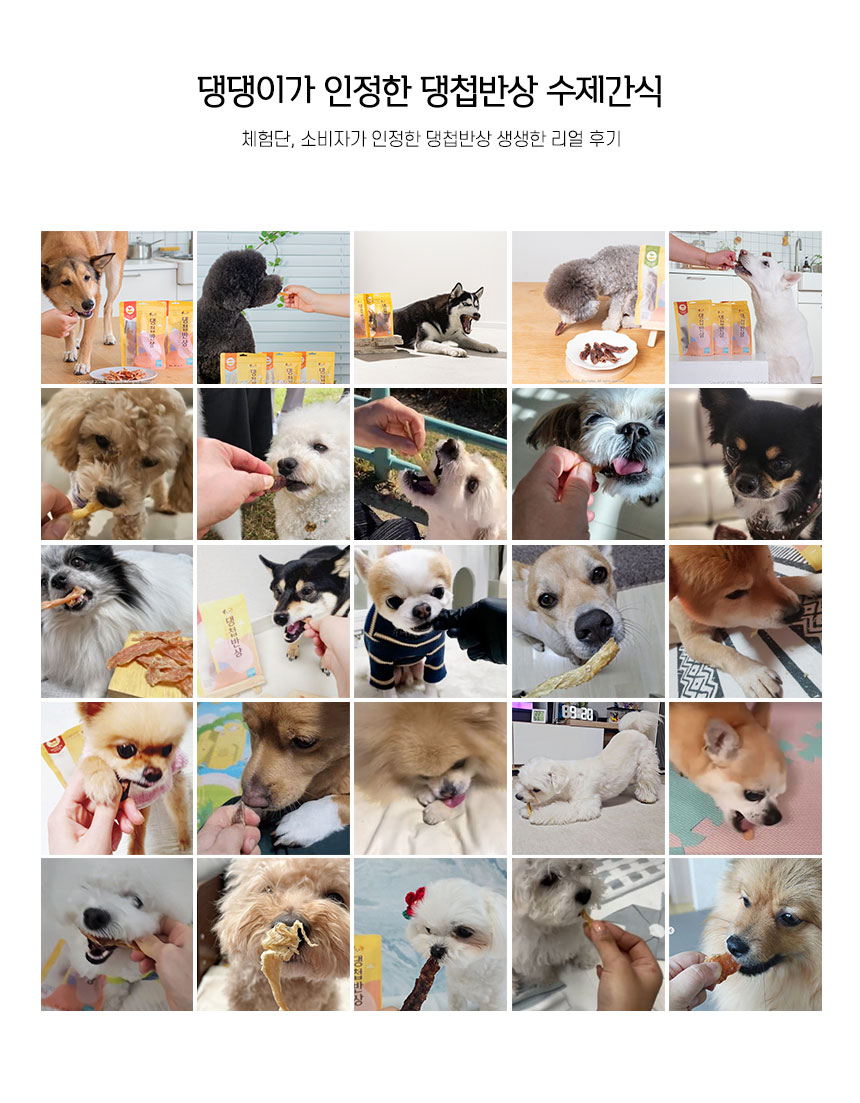 [무료배송] 댕첩반상 무염황태파우더 20개 강아지수제간식 1번째