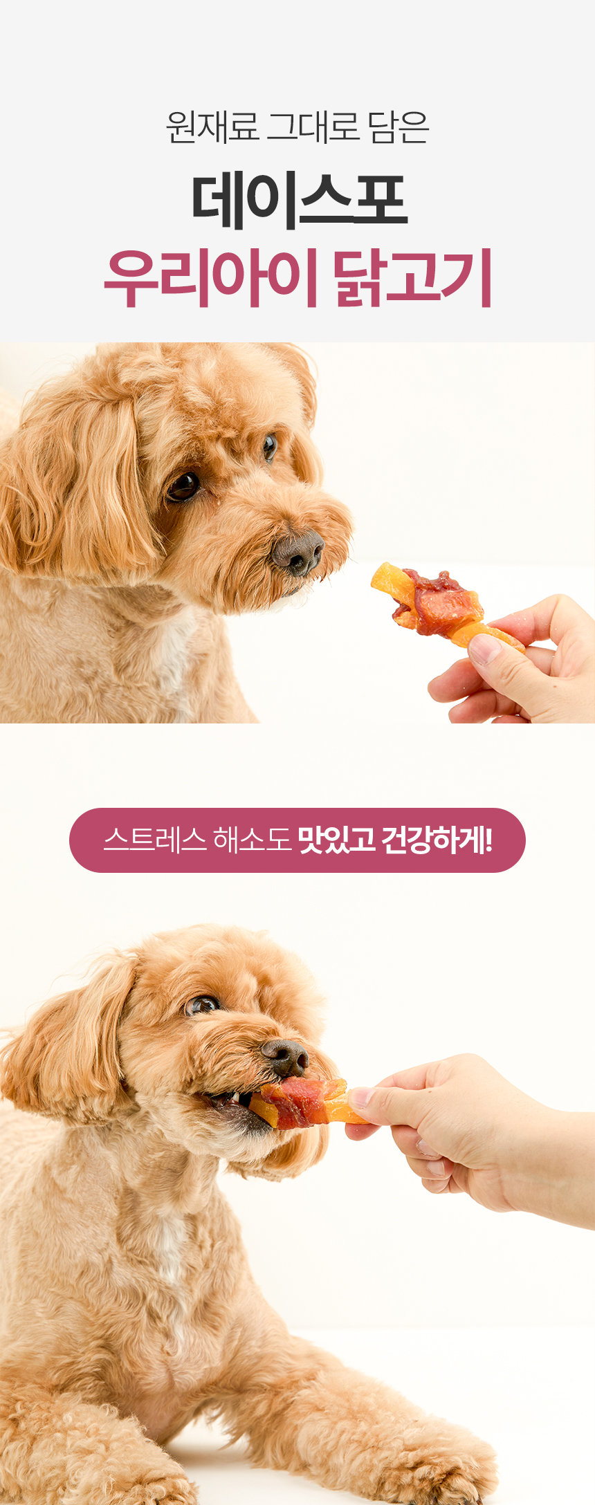 [NEW신상][무료배송] 데이스포 독 우리아이 오리 하드 사사미 1kg 16번째