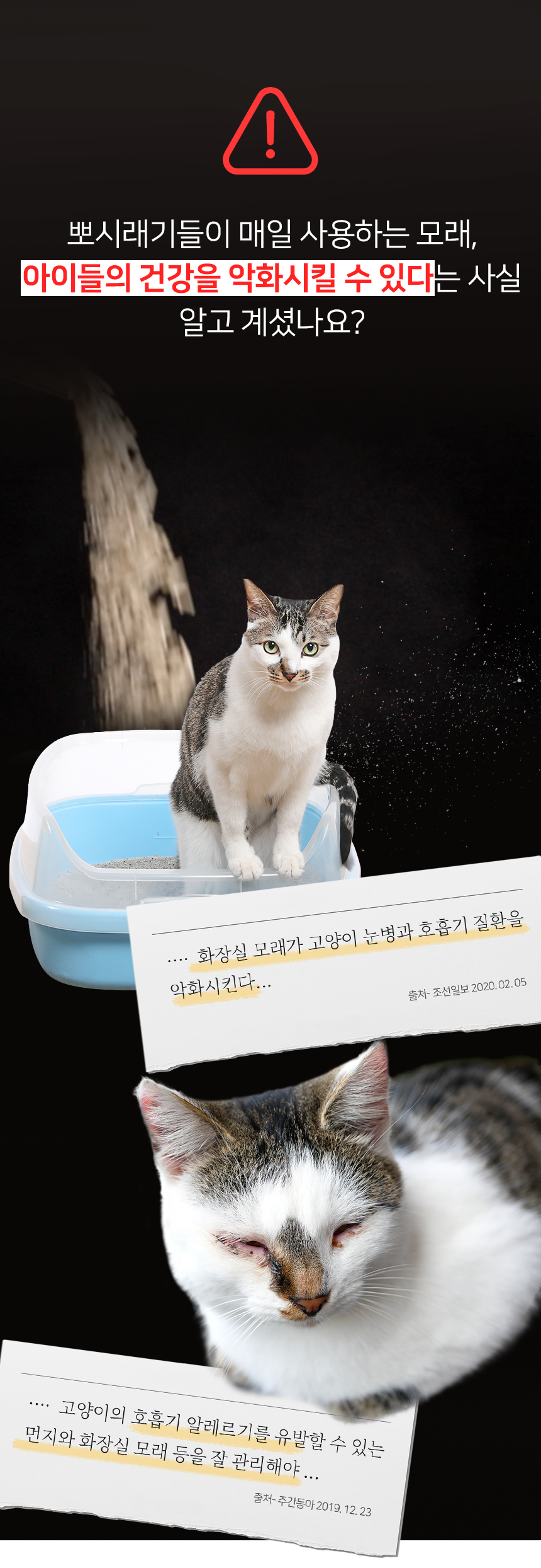 [무료배송][6개] 뽀시래기 뽕뽕 천연 두부 모래 7L 오리지널/숯/녹차 3번째