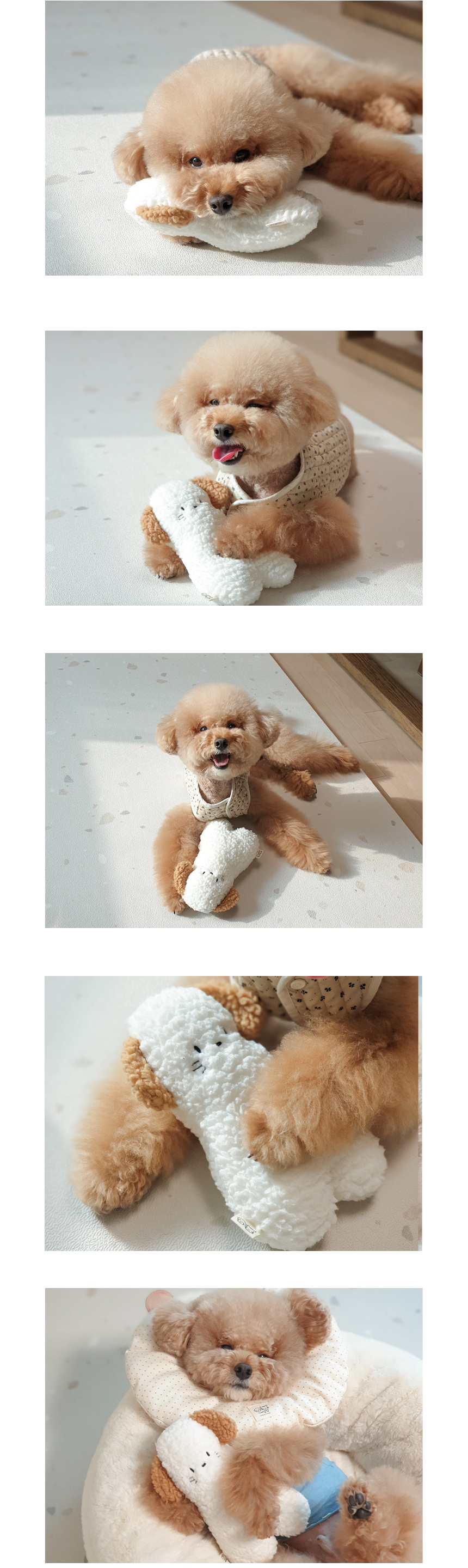 [무료배송] 개달당 강아지 고양이 크리스마스 선물 2종 세트 강아지/고양이 6번째