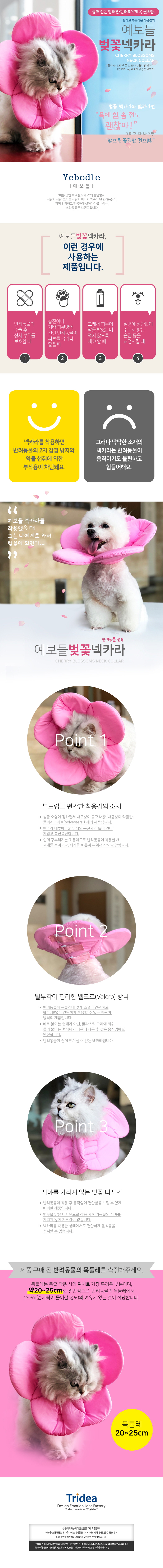 예보들 벚꽃 넥카라 1번째