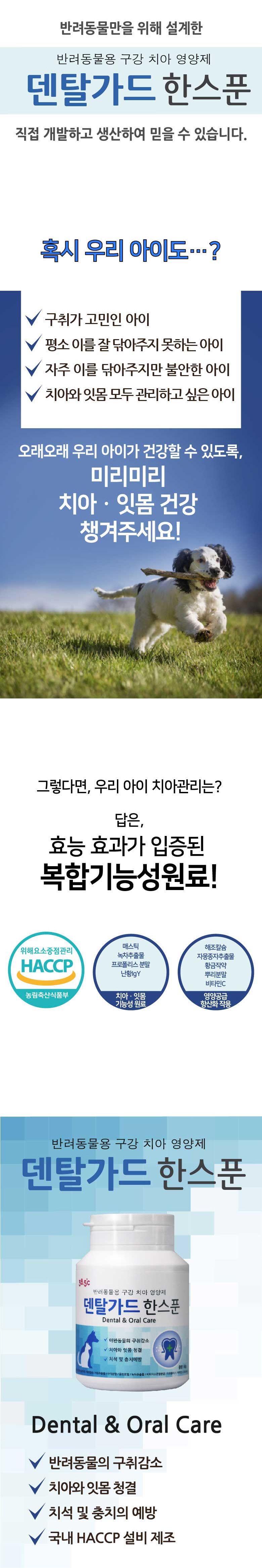 [핑프특가][유통기한임박, 26년4월16일] 38.5 덴탈가드 한스푼 구강영양제 60g 2번째