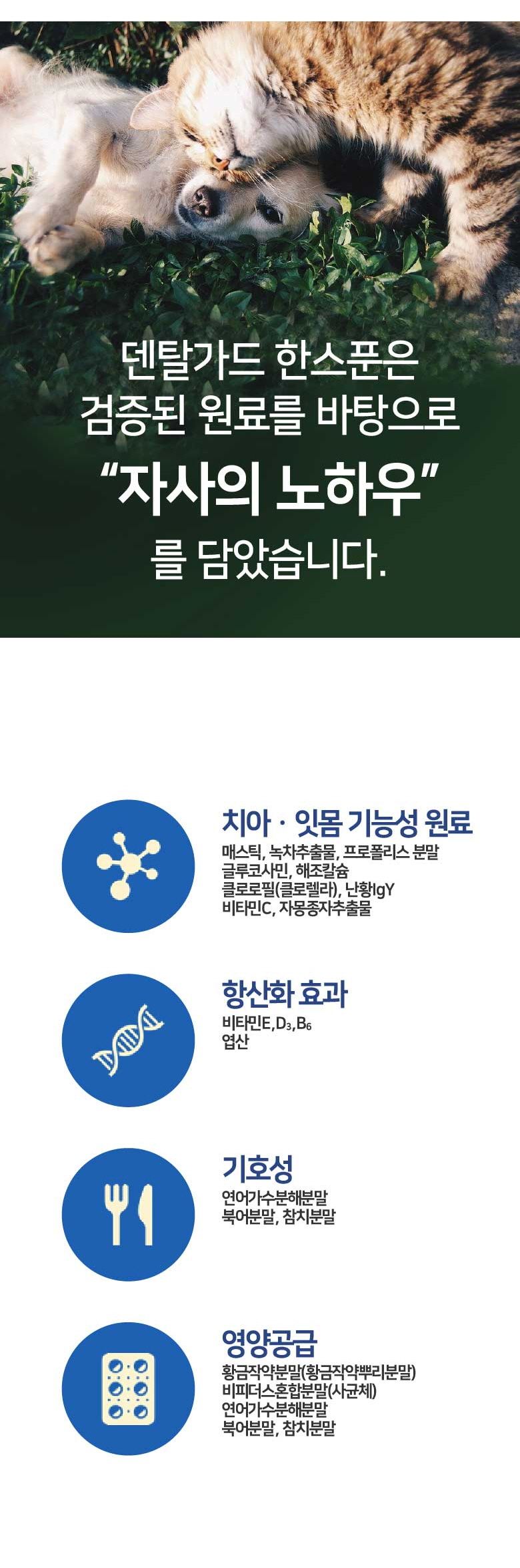 [핑프특가][유통기한임박, 26년4월16일] 38.5 덴탈가드 한스푼 구강영양제 60g 4번째