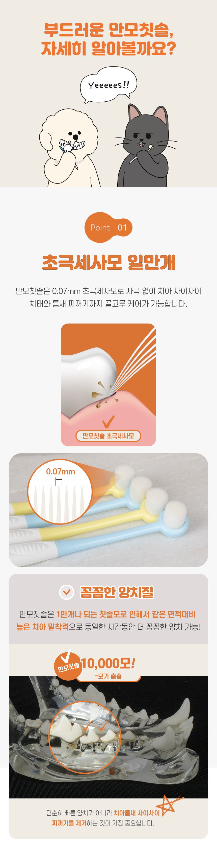 [NEW신상]리스펫 치석제거 바르는 치약 70g + 만모칫솔 1세트 4번째