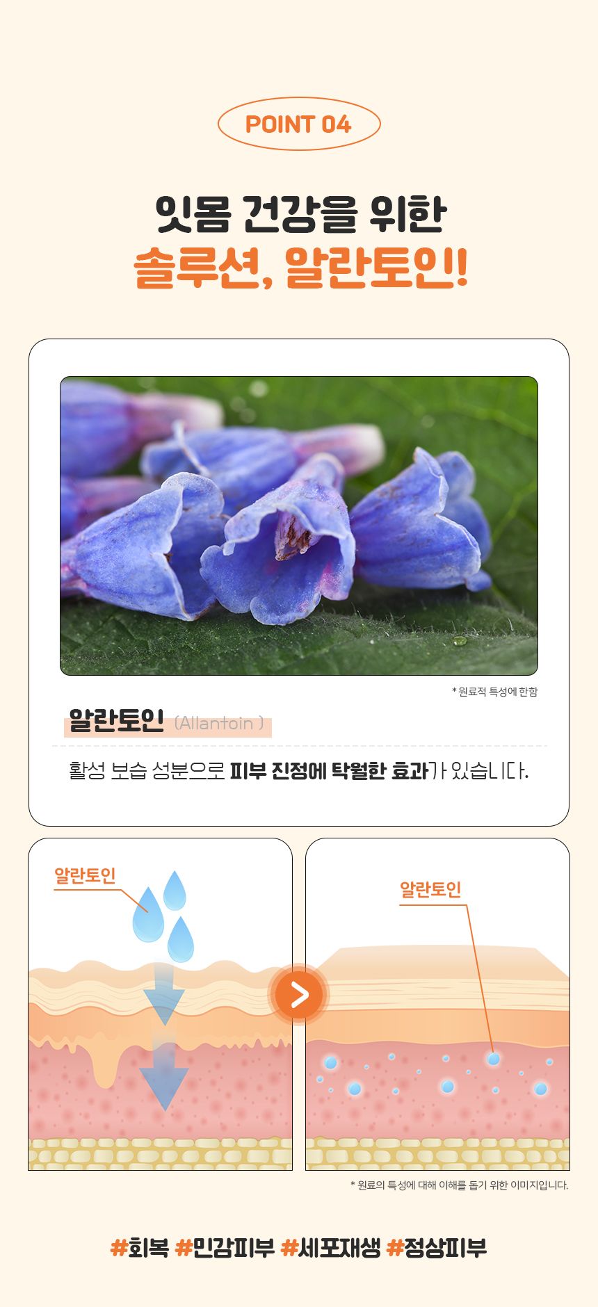 [NEW신상]리스펫 치석제거 바르는 치약 70g + 만모칫솔 1세트 9번째