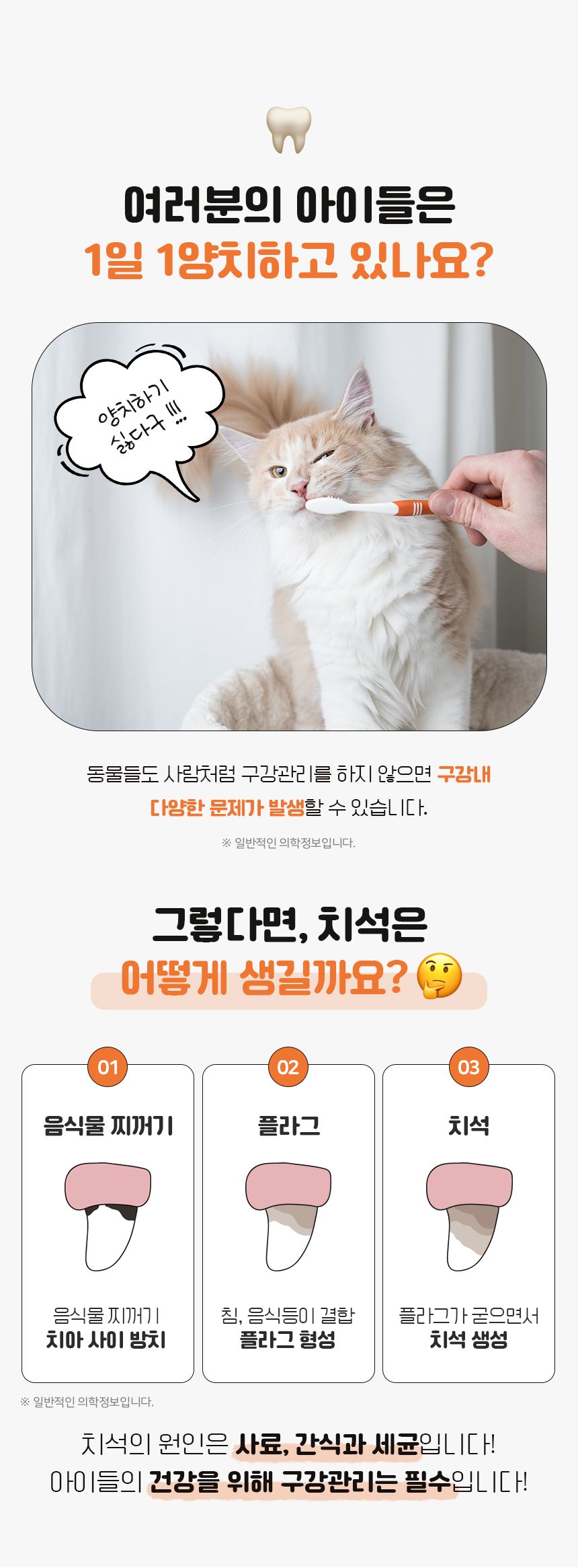 [NEW신상]리스펫 치석제거 바르는 치약 70g + 만모칫솔 1세트 2번째