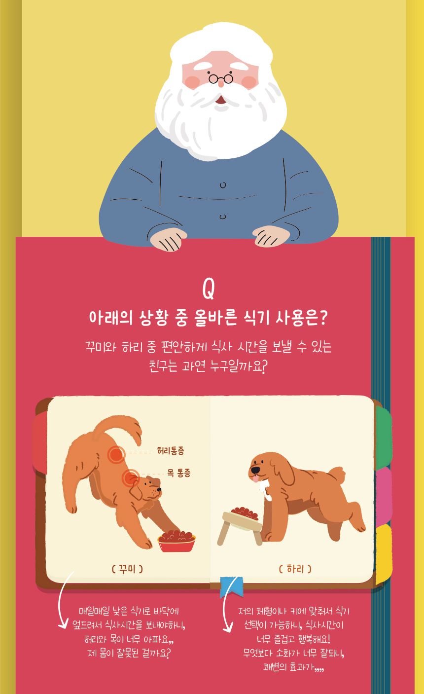 [무료배송] 애구애구 원목 땅콩식기 16번째