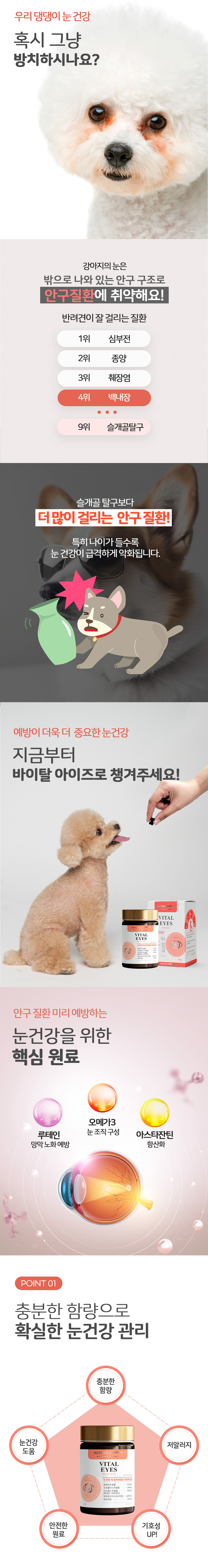 [무료배송] 누터스가든 바이탈 눈물 눈건강 영양제 120g 5번째