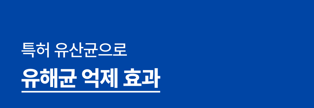 [무료배송] [2개] 프로젝트21 캣 유산균 영양제 2g*30p 4번째