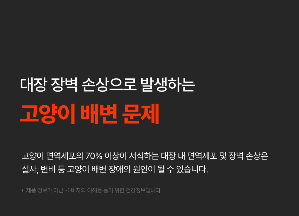 [무료배송] [2개] 프로젝트21 캣 유산균 영양제 2g*30p 1번째