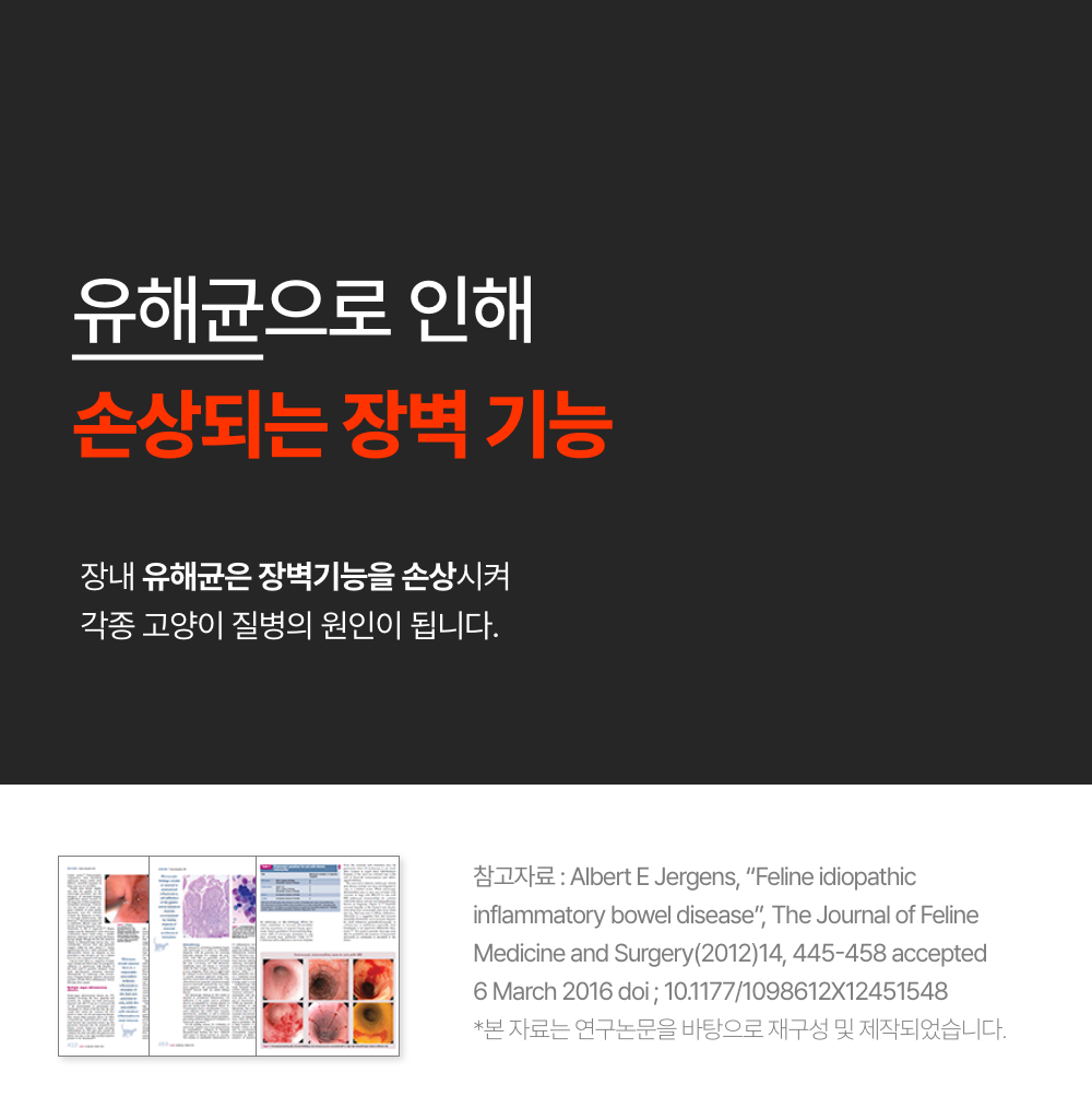 [무료배송] [2개] 프로젝트21 캣 유산균 영양제 2g*30p 2번째