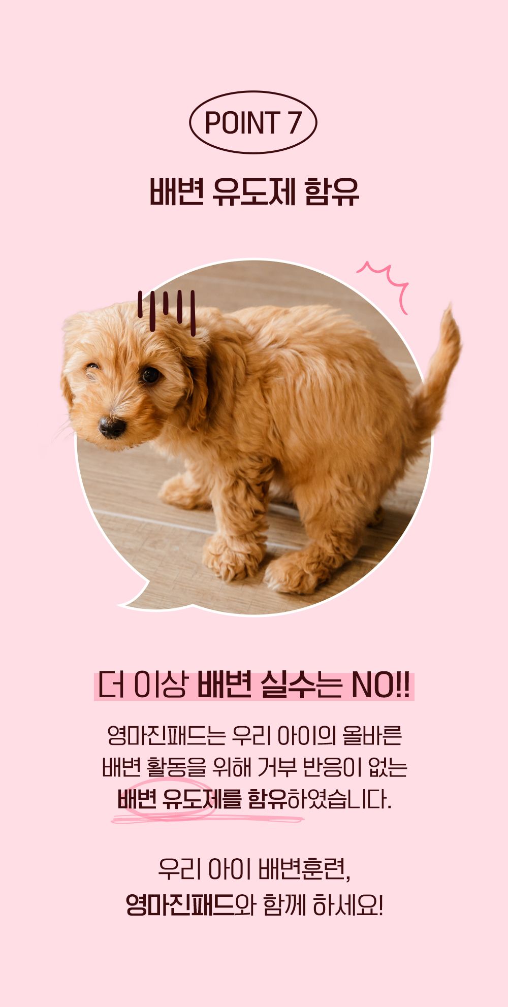 제로랩스 영마진 배변패드 베이직 L 50매입 10번째
