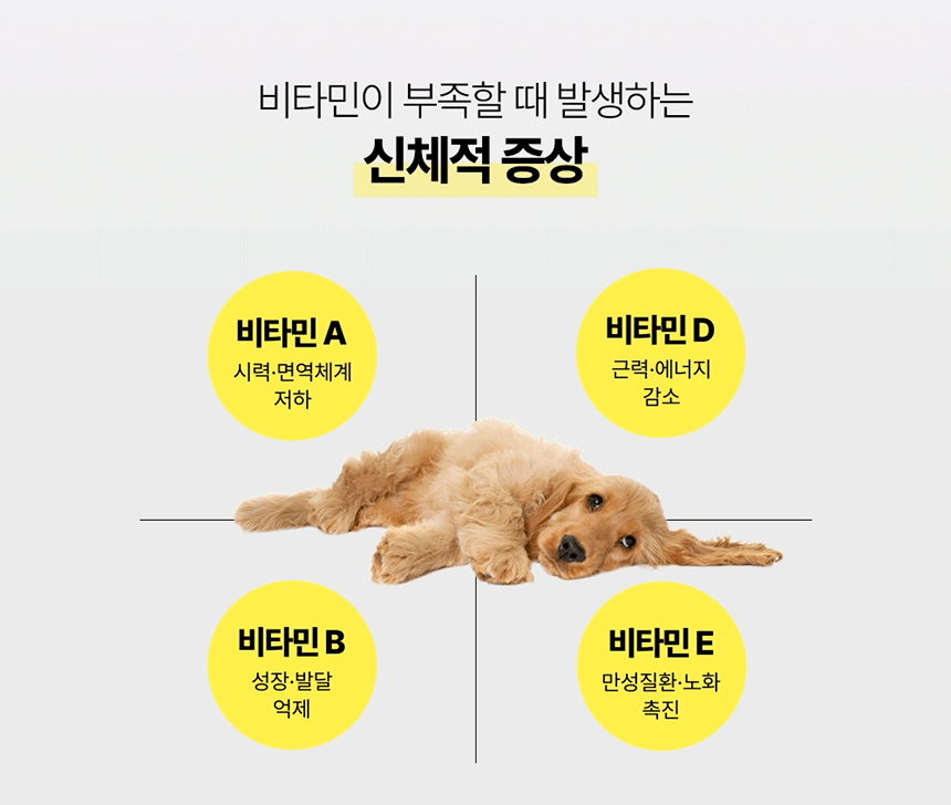 [NEW신상][무료배송] 마시는 비타 뮨 멍샷 30포 12번째